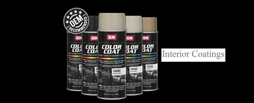 Use Colorbond LVP BMW Paint Kit To Recolor or Restore Trim DIY